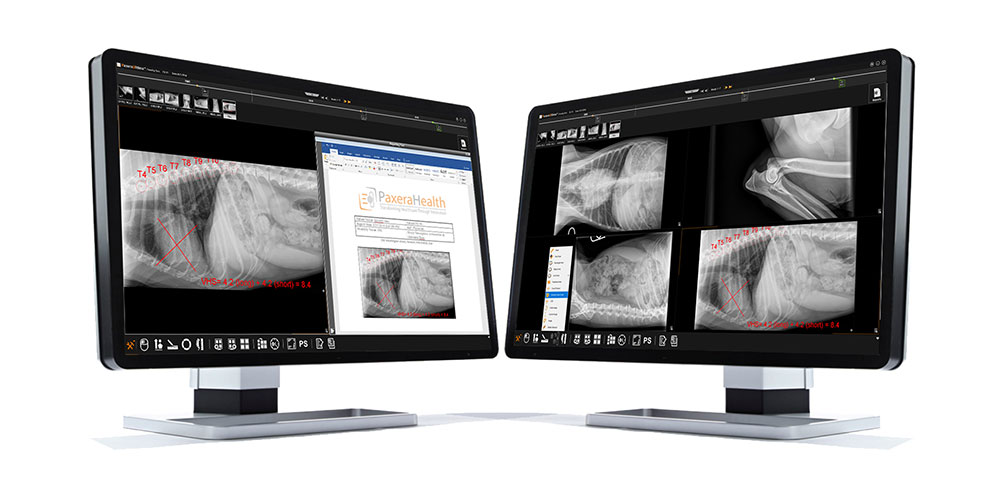 Veterinary Pacs Reporting and Measuring