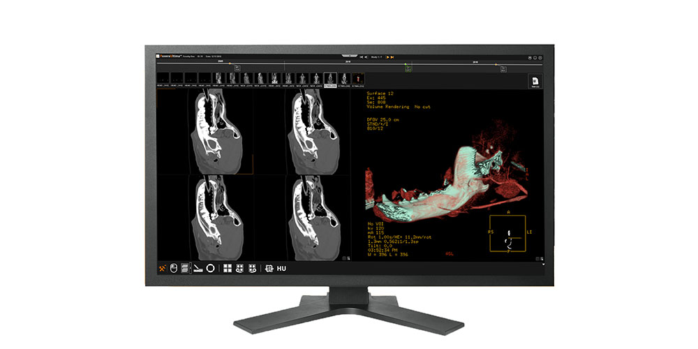 Veterinary Pacs Viewing Protocols